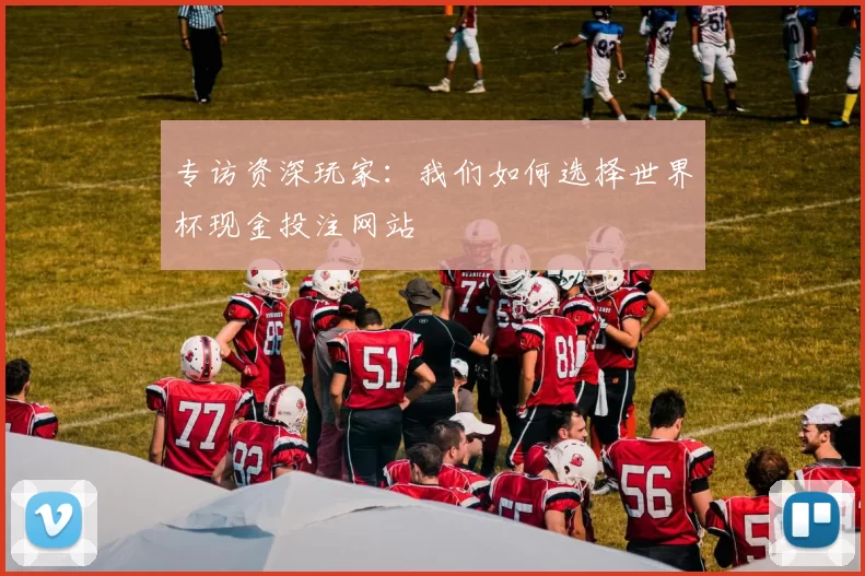 专访资深玩家：我们如何选择世界杯现金投注网站