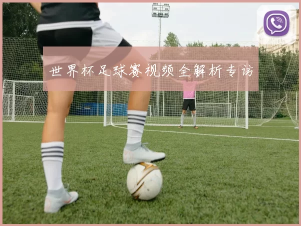 世界杯足球赛视频全解析专访
