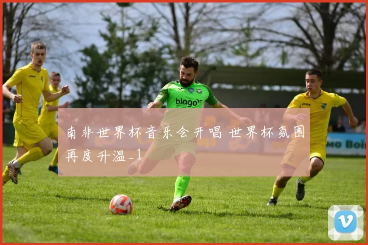 南非世界杯音乐会开唱 世界杯氛围再度升温_1