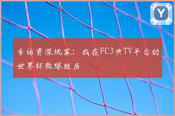 专访资深玩家:我在FC3典TV平台的世界杯购球经历
