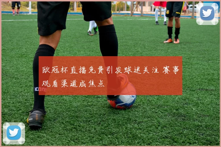 欧冠杯直播免费引发球迷关注 赛事观看渠道成焦点