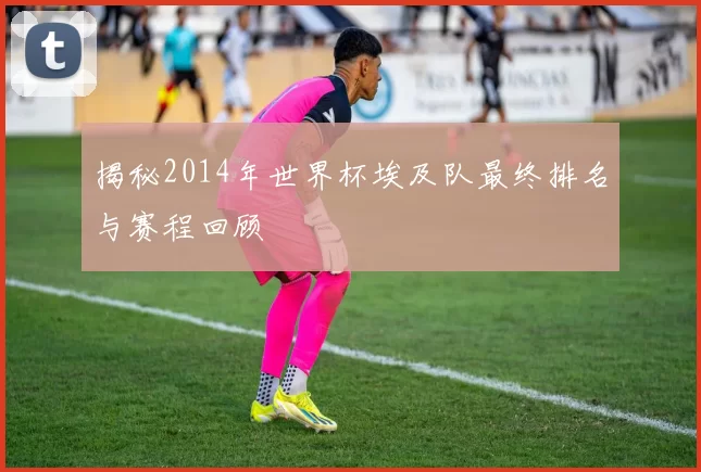揭秘2014年世界杯埃及队最终排名与赛程回顾