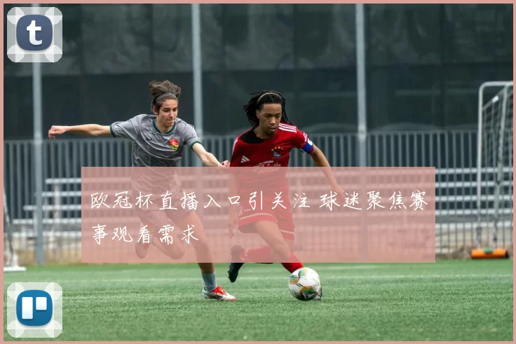 欧冠杯直播入口引关注 球迷聚焦赛事观看需求