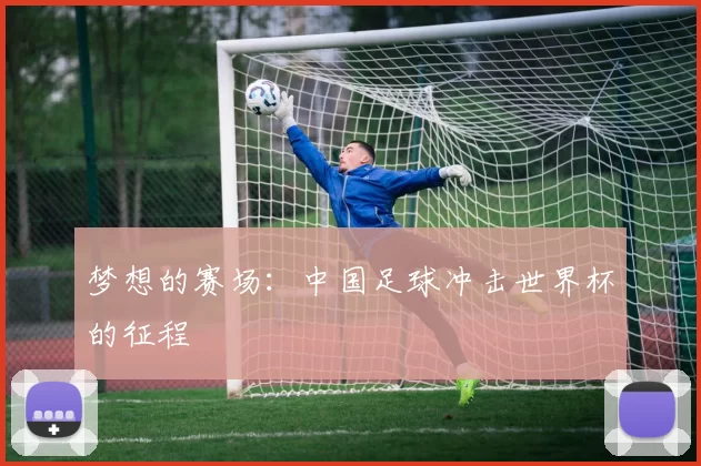 梦想的赛场:中国足球冲击世界杯的征程